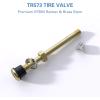 imageCKAuto TR618A Tubeless Tire Valve Stems 1875 Metal Valve Stems Climpin Brass Tire Valve Stem with Valve Stem Core for Rim 625quot 4 PackTR573