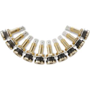 imageCKAuto TR618A Tubeless Tire Valve Stems 1875 Metal Valve Stems Climpin Brass Tire Valve Stem with Valve Stem Core for Rim 625quot 4 PackTR618A